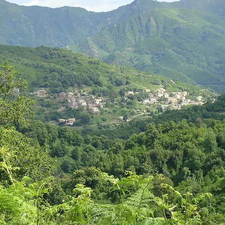 Moita